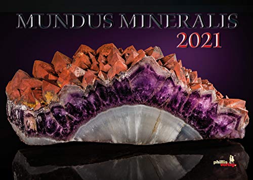 Stop basura: La verdad sobre reciclar