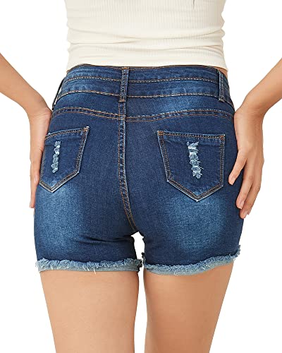 Phoenising Women's Curvy Girl Ripped Hole Short Jeans Comfy Skinny Denim Shorts, Size 2-16 #TOP1