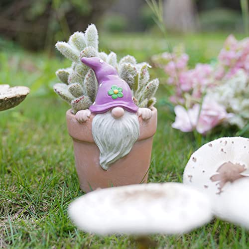 Newman House Studio Spring-Gnomes Flower-Pots Easter Decorations Cactus-Succulents - Easter Decorative Purple Planter Pots Unique Garden Pots With Drainage Hole For Indoor Outdoor 3 X 3.5 X 5 Inch #TOP2