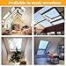 Customizable Roof Skylight for Home, Tempered Glass Skylight Roof Window Hatch with Gas Strut Lift, Remote Control, Energy Efficient Venting, for Attic, Sunroom, Roof, Basement(Black,LxW 65x95cm/25.6x