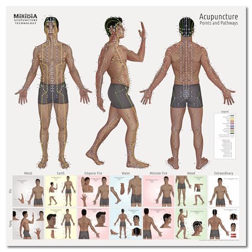 Image of Miridia Acupuncture Chart - Huge Laminated Anatomical TCM Meridian & Points Poster - Clinic /Study Use - Accurate Acupuncture Point Chart - Clear Labels - Comprehensive Meridian System - 36x36, Male
