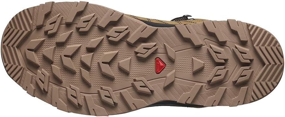 Salomon Men's Running Shoes, Brown, 10