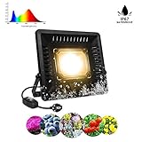 iluminacion de plantas industriales 【Menor índice de fallas】 Debido a la menor generación de calor, mejor disipación de calor y menos puntos de soldadura, esta lámpara LED COB para planta tiene una vida útil de 50,000 horas.
