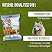 DeliBest Light Pferdesehnen I Dental Sticks I Hundesnacks getreidefrei I natürlicher Hunde Zahnsteinentferner I Kauartikel aus Pferdefleisch für Hunde I Hundezahnpflege Snack 200g