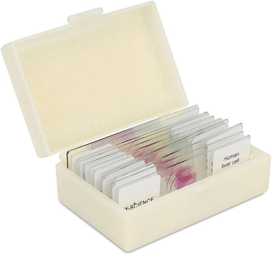 Protist Slides Microscope For Adults Prepared Human Pathology ...