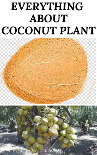 EVERYTHING ABOUT COCONUT PLANT: The Healthy benefit of coconut parts to the body and our daily food nutritional (English Edition)