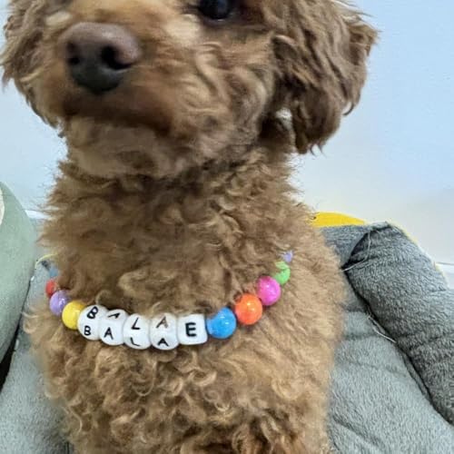 Personalisiertes Hundehalsband mit Perlen, Abnehmbare Namenskette, Niedliche Bunte Perlenhalsbänder für Hunde, Hundehalsband mit Hundemarke, Geschenke für Hunde