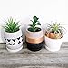 4-Inch Cement Succulent Planter Modern Flower Pots Mini Planter Indoor for Cactus Herb or Small Plants, Set of 3 (4 inches)