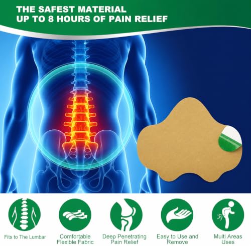 Image of Pain Relief Patches, 48 Pcs Back Pain Relief, Wormwood, 12-Hour Use