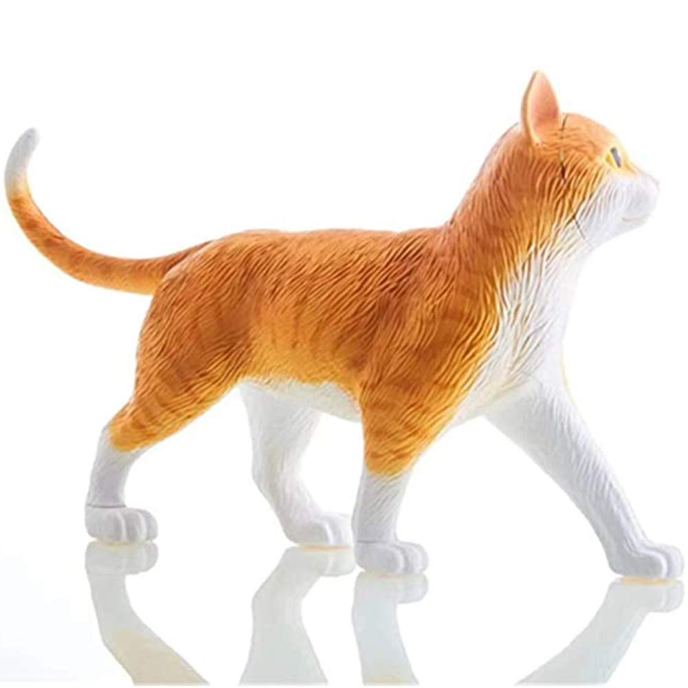 Amazon.co.jp: 4Dオレンジ猫臓器解剖学アセンブリモデル-医療猫