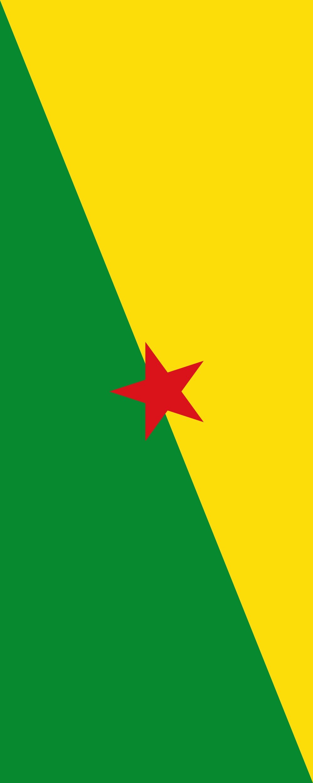 Drapeau Guyane 300x120cm pour pavoiser vos événements et célébrations culturelles