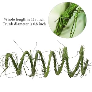 118 inch Medium Malleable Artificial Green Tree Branches Grapevine Garland Fake Cherry Blossom Tree Trunk Twigs for Wall Hanging Willow Ivy Home Room Wedding Decoraton 118 inch Medium Malleable Artificial Green Tree Branches Grapevine Garland Fake Cherry Blossom Tree Trunk Twigs for Wall Hanging Willow Ivy Home Room Wedding Decoraton