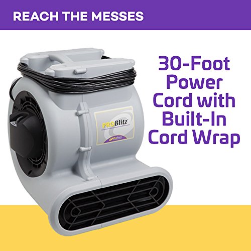 ProTeam ProBlitz Air Mover, view 2