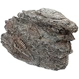 HOMOBABE 古生物学用三葉虫化装飾品 耐久性樹脂製 知育教材や展示向け精巧模型 コレクションやインテリアに