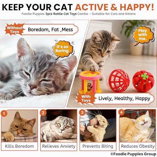 Image of Foodie Puppies Interactive Cat Rattle Toy Combo - (3 Pcs Set) | Rolling Bell Toys for Cats, Kittens & Small Pets | Durable, Lightweight, Safe Plastic, Engaging Indoor Play Toy for Exercise & Fun