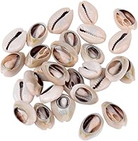 Vista 23 de Cheriswelry 50 cuentas de concha en espiral natural blanca, conchas marinas, cuentas espaciadoras de playa, dijes de conchas de cauri, cuentas