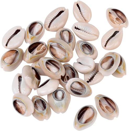 Vista 116 de Cheriswelry 50 cuentas de concha galvanizadas, conchas de cauri en espiral, conchas de mar, verano, playa, cuentas espaciadoras sueltas