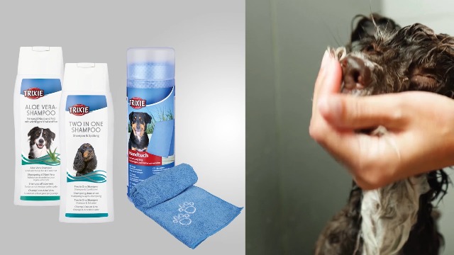 Trixie Trixie Aloe Vera Shampoo : Amazon.in: Fashion
