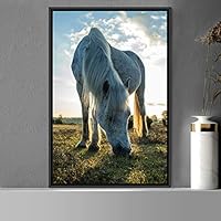 Framed Canvas Wall Art Horse Animals Dramatic Farmhouse/Country Horse Living Room Multicolor Photography - 16x24 inches