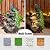 Glitzhome Outdoor Water Fountain,20.5" H Polyresin Outdoor Fountain with Lights, 4-Tierd Peacock W/Stacked Stone Decorative Waterfall Feature Garden Fountain with Pump for Garden, Patio, Porch Decor