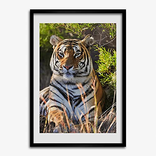 Cadre photo tigre 50x70 cm Tulup pour habiller un mur vide avec un cadre en bois