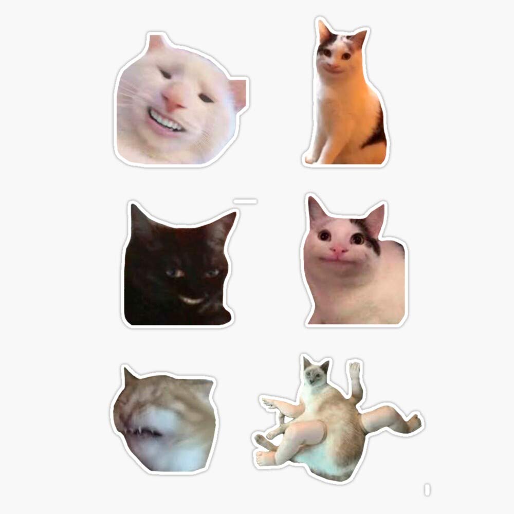 Buy Leyland Designs Cursed Cat Meme Stickers Sticker Outdoor Rated