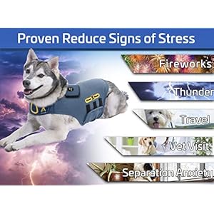 Cozyvest® dog anxiety vest 3 in 1 music  aromatherapy shirt relaxing sound  essential oils jacket fireworks thunder separation  thunderstorm canine stress relief coat gray xxs up to 7 lbs   cucciolini doodles