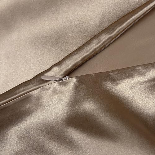 townssilk Federa di seta,100% naturale seta di gelso 19momme,doppia faccia,benefica per capelli e pelle,federa seta cuscino,ipoallergenica,cerniera nascosta,600 fili,1 pz,40x70cm,Lightbronze