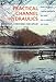 Practical Channel Hydraulics, 2nd edition: Roughness, Conveyance and Afflux