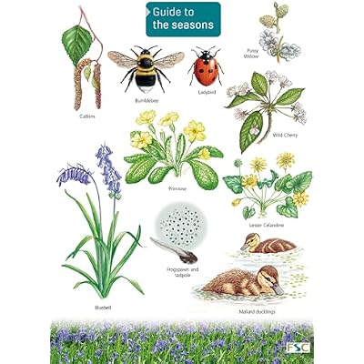 Guide to the Seasons