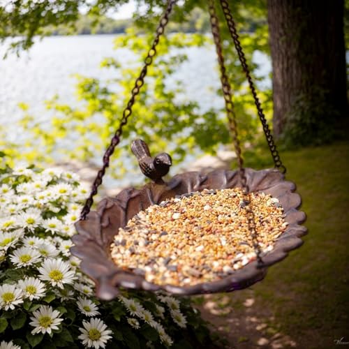 Bassin d'eau pour oiseaux et accessoires de nourrissage extérieurs pour préserver la biodiversité - 3