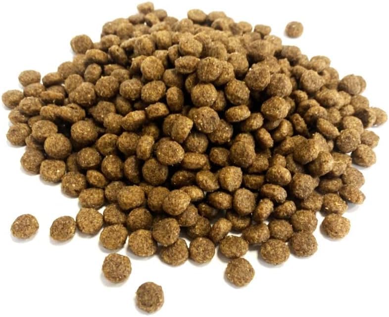 Premium Complete Hedgehog Food 1.5kg Complete Food XLW