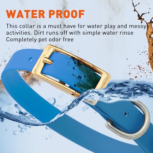 Image of Viper Biothane Heavy Duty Waterproof Dog Collar Strong Coated Nylon Webbing w /Solid Brass Hardware Odor-Proof Easy to Clean High Performance Fits Small Medium or Large Dogs, Cerulean Blue