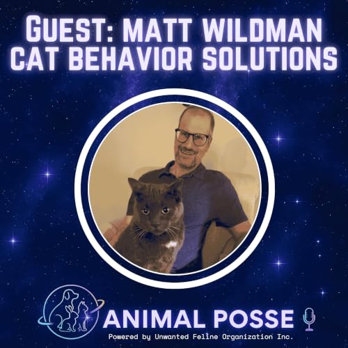 The Helpline Saving Cats From Surrender