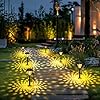 SOLPEX Solar Lights for Outside10 Pack Solar Lights Outdoor WaterproofWarm White Outdoor Solar Lights for YardGardenPathwayPatio and Landscape Lighting Decor