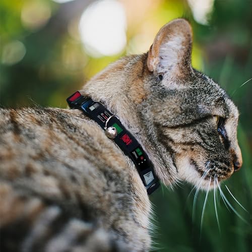 Collar breakaway de gato Star Wars Darth Vader ajustable que evita asfixias y pérdidas 3