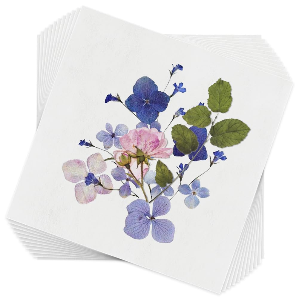 BENECREAT 50 fogli di carta assorbente per pressa per fiori, 26 x 26 cm, carta assorbente altamente assorbente e riutilizzabile, per fiori e erbario