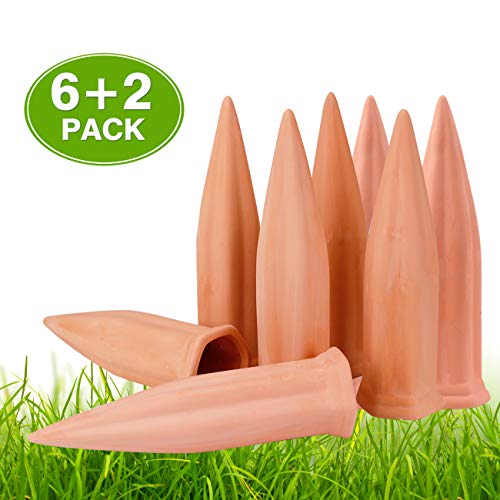 Best Water Stick For Indoor Plants