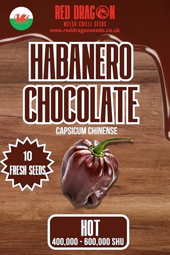 Chocolate Habanero Chilli Seeds - 10 Fresh Chocolate Habanero Pepper Seeds