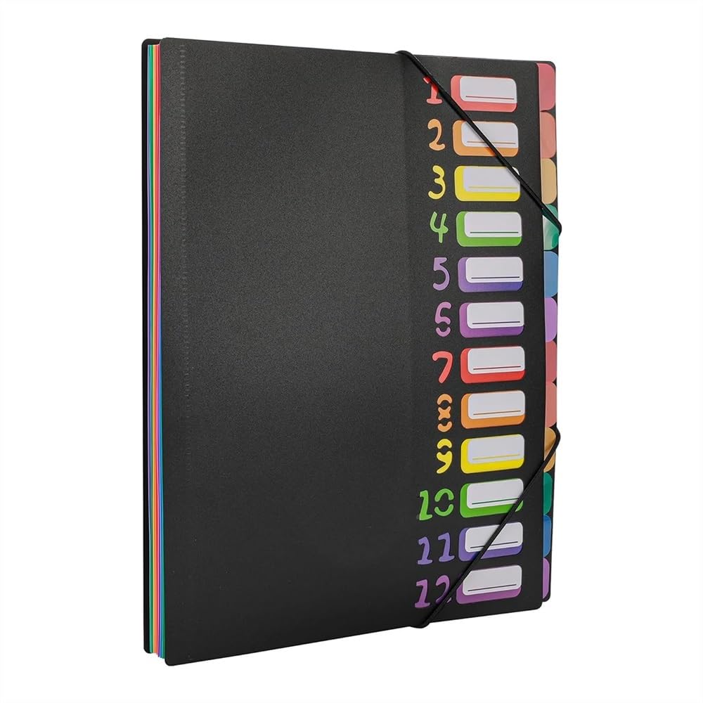 Schnellhefter A4-Letter-Format, mehrfarbiger, erweiterbarer Projektsortierer mit 12 Fächern, robuster, monatlicher, erweiterbarer Ordner-Organizer aus Kunststoff Fächermappe(Schwarz)