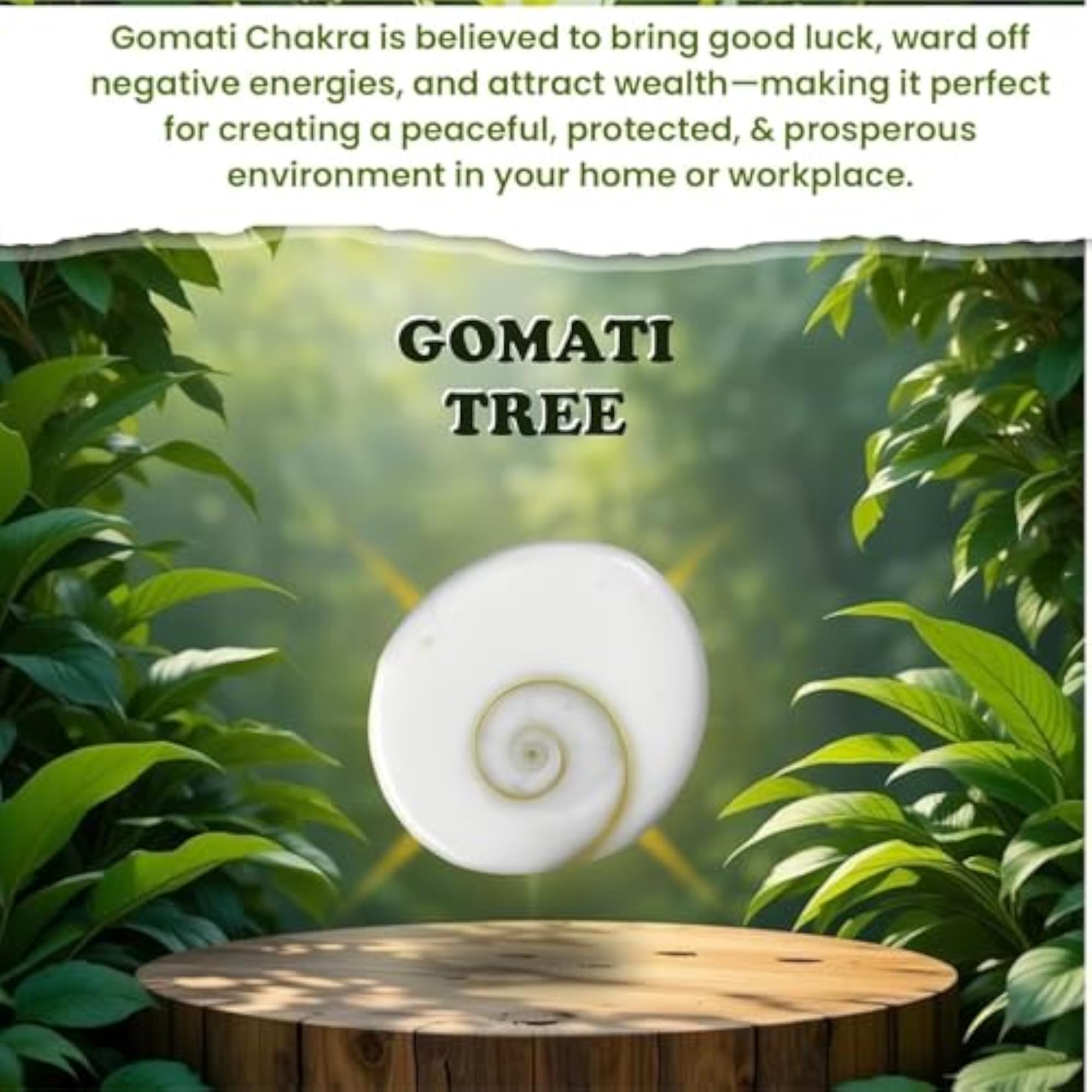 Gomati Chakra with Rudraksha Tree Home Decor Showpiece, Good Luck Item
