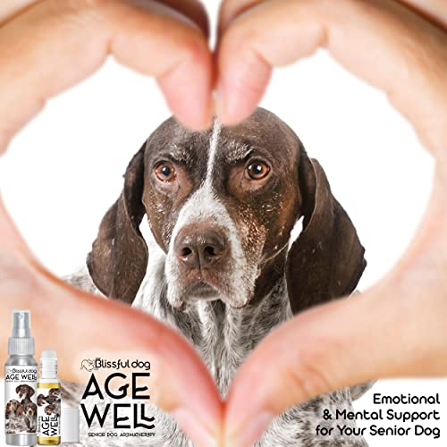 Image of The Blissful Dog German Shorthaired Pointer Age Well Dog Aromatherapy Roll-On Bottle for Your Dog's Peaceful Ageing