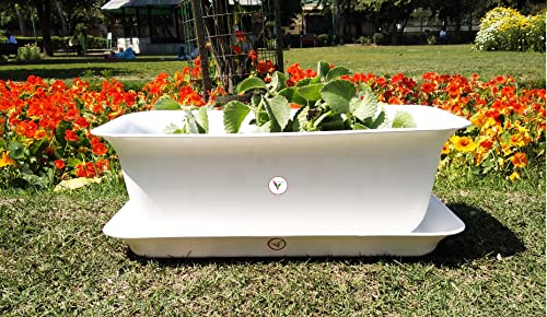 VINSHRA Rectangular Plastic Flower Pots with Bottom Tray, White, 20 Inch, 2 Pieces Window Planter, Make Garden, Vegetables, Flowers, Fruits Gardening Pot,Gamla, Indoor/Outdoor Pots for Balcony, Lightweight, Weather Uv Resistant, Durable