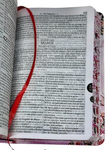 Bíblia Sagrada Da Garota Filha do Rei Com Índice Capa Flexível Linguagem Arc Linda Para Mulher