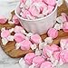 Strawberry Salt Water Taffy, 1 Pound Bulk Bag, Pink Taffy, Individually Wrapped Pink Candy