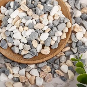 Fonvan Dekorative Kieselsteine st1, 0,6-0,9cm, 1kg