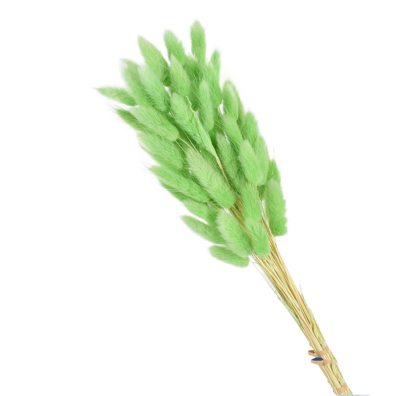 Sztuczna trawa Pampas, Wielokolorowe pampasowe ogony króliczka suszone kwiaty 60 lub 80 szt. Ślub Boże Narodzenie dekoracje dla domu DIY(Meat Pink,60pcs)