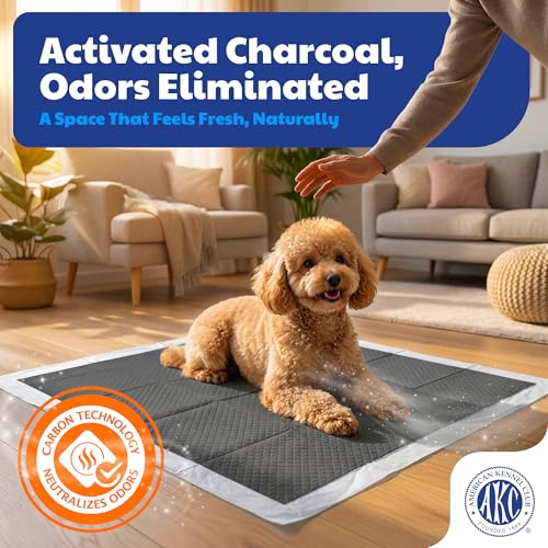 Image of American Kennel Club Carbon-Activated Puppy Training Pads - 100 Count, 22 x 22