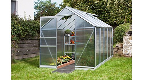 Vitavia Gewächshaus APOLLO 5000 Alu eloxiert - HKP6mm