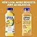 Naked Juice Pina Colada Flavored 100% Juice Smoothie Blend, 15.2 Fl Oz